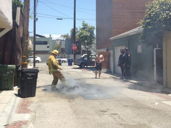 Venice311's tweet image. Don't bring a firehose to a gardenhose fire.