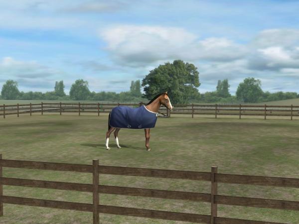 pedrosoli's tweet photo. Confira a minha foto! Adicione-me, Pedrosoli. #MyHorse http://t.co/88bgfeZI http://t.co/cqdp4b5u