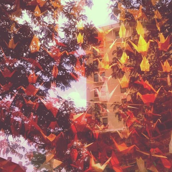 Instahot's tweet photo. reflections by ohnoradeo on http://t.co/N9nRLcEb http://t.co/rJXq8LhY