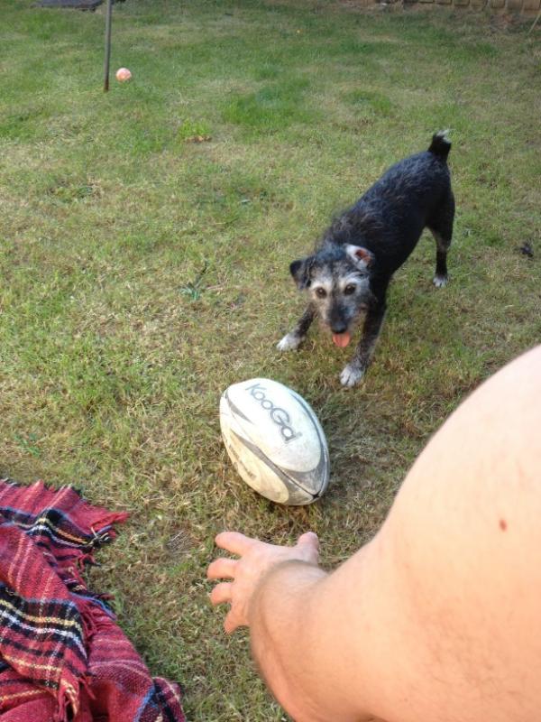 jodylyons's tweet photo. The megster @pburgum http://t.co/P2Me3Xqz