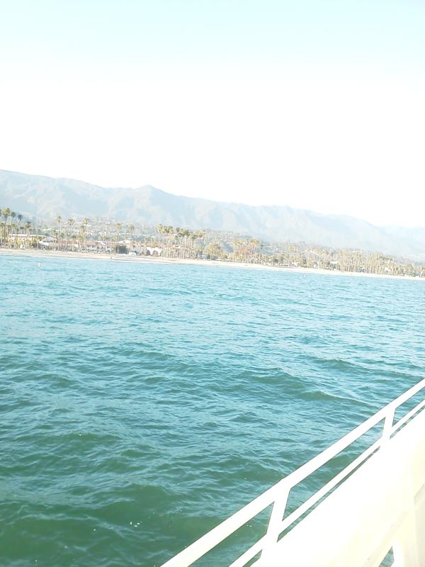 Tyler Forshey tweet media