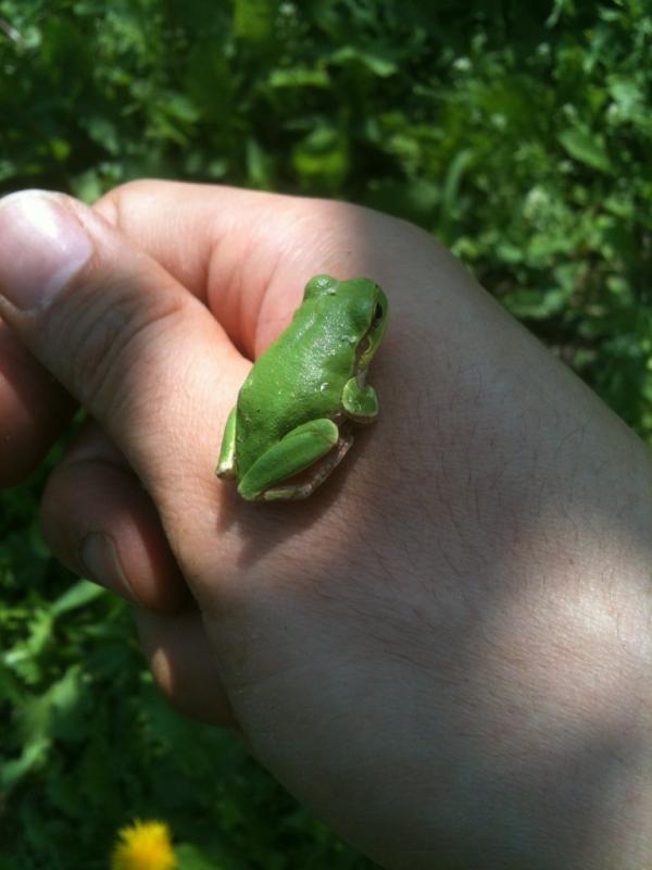 Shimssem's tweet image. 볕이 뜨겁습니다. 빽빽할 밀, 볕 양. 밀양 대단하군요.