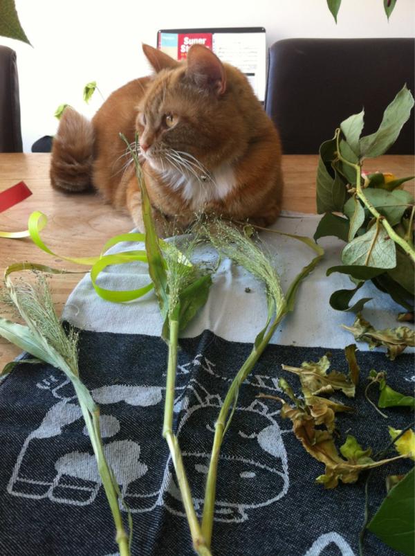 Veromusic's tweet photo. Bloemschikken met het vrouwtje :-) http://t.co/Q7fNtbeg