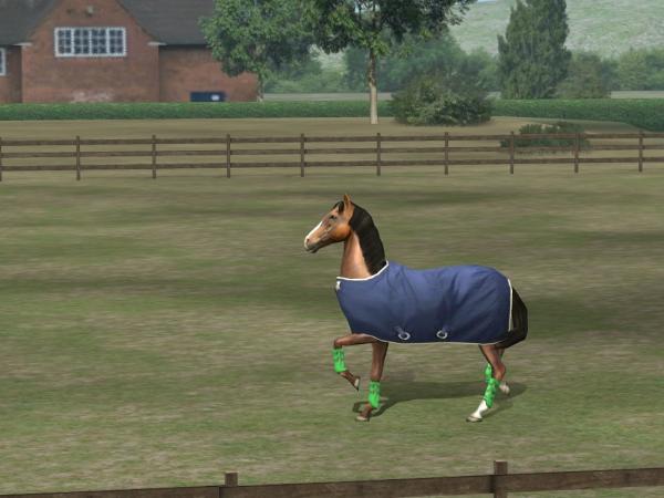 pedrosoli's tweet photo. Confira a minha foto! Adicione-me, Pedrosoli. #MyHorse http://t.co/88bgfeZI http://t.co/40gzVLcY