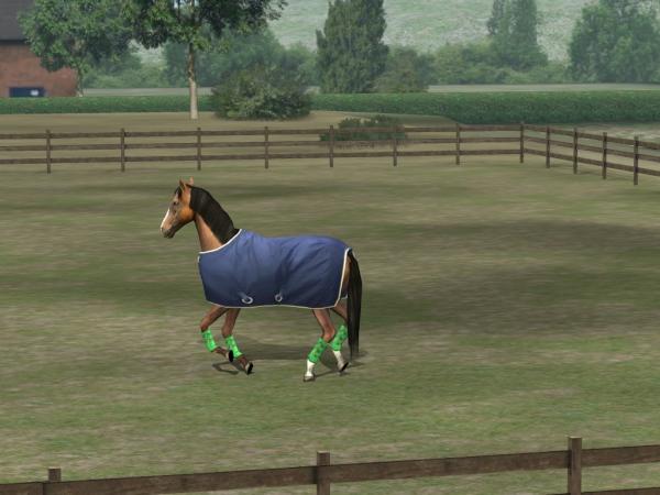 pedrosoli's tweet photo. Confira a minha foto! Adicione-me, Pedrosoli. #MyHorse http://t.co/88bgfeZI http://t.co/wm0lyFJe