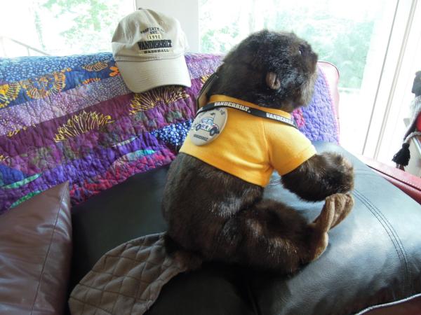 52atango's tweet photo. @VU_RallyBeaver  Hey Chance  I'm a Rally Beaver too  will you be me friend? http://t.co/6cSIwUOR