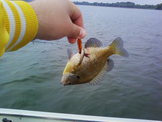 JoshOlson6's tweet image. The way i usually catch fish #winning #givinglessons