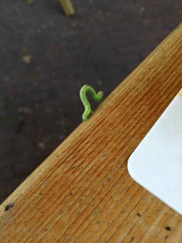 Living on the edge....