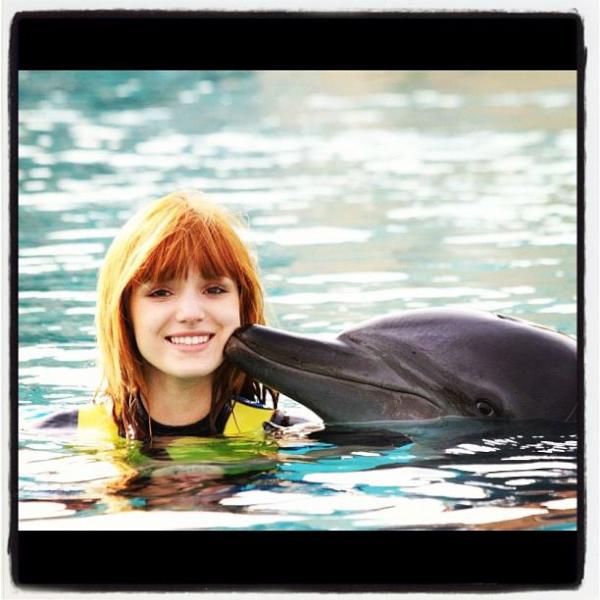 wish ones cuter? my mom says the dolphin :(