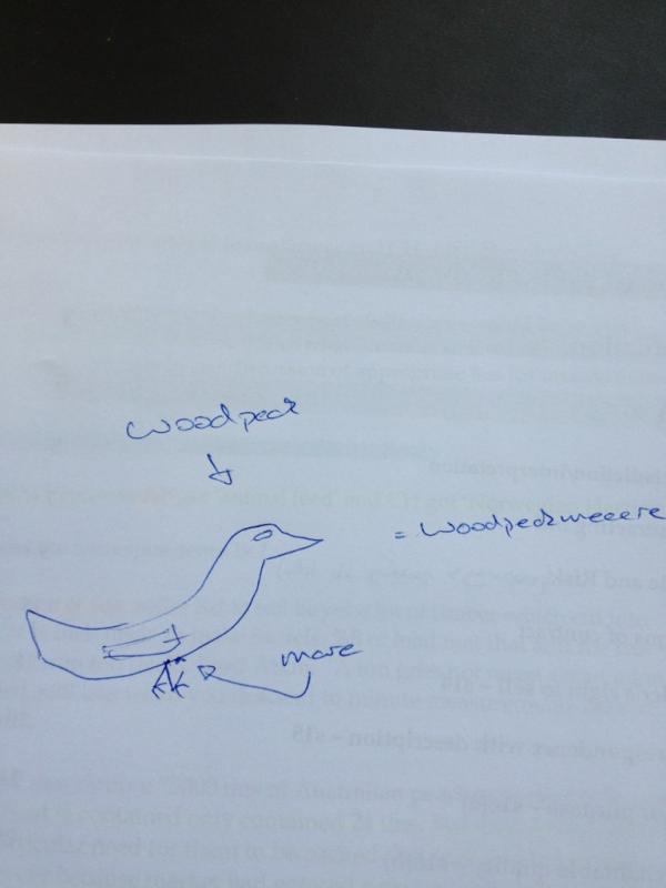 billygreen16's tweet photo. @woodpeckerwood just found this... #woodpeckmeeeere http://t.co/KTOg8qqO