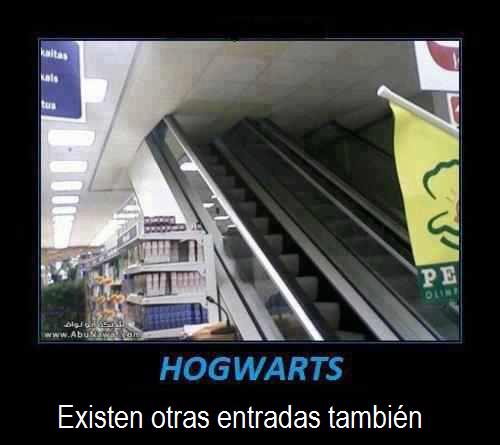 Javierelcc's tweet image. Found another way to go to #Hogwarts