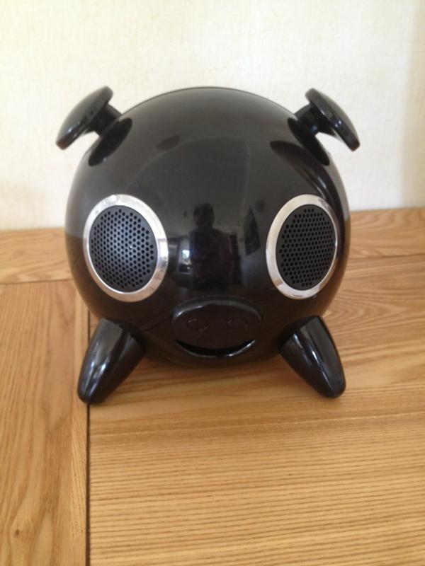 GrantGall91's tweet image. The @stranraerfc changing room speakers!! Gets the boys buzzing #iPig #partoftheteam