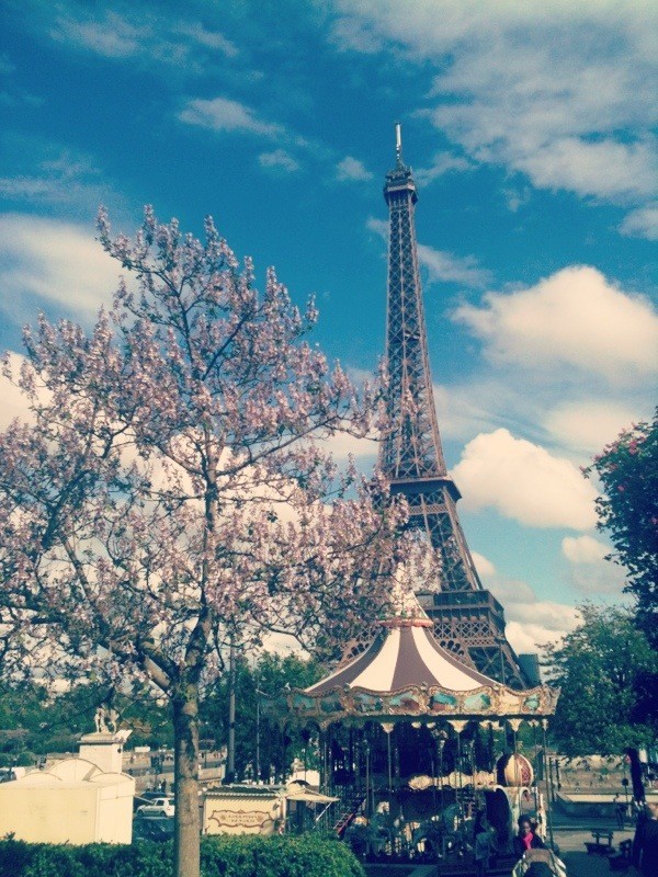 5jang's tweet photo. 오늘 기분이 차~암 좋.다.
흔한 파리사진 투척 http://t.co/WneVFGeU