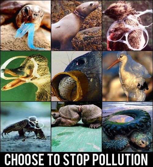 jp_project's tweet photo. What's wrong with us?... Choose to stop pollution! http://t.co/i9ty2eAz