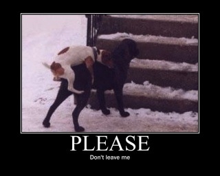 Totally know how this feels! Hahha #dontgo http://t.co/A2YU9U5H<a href="/tag/dontgo"class="tags">#dontgo</a>