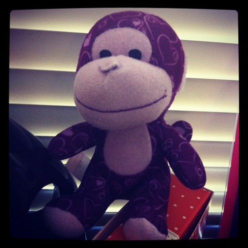 AntoniettaLoves's tweet photo. @WTFSG Check out my little purple monkey #cute I ♥ WTFSG http://t.co/irVpYLzX