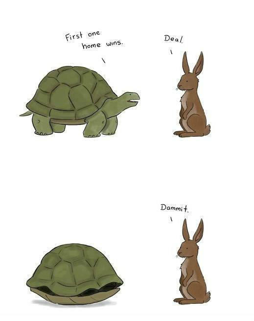 GertKiks's tweet photo. Why turtles are genius http://t.co/1thRWkYd (via @JOR_ID) -- Felienne Hermans (@Felienne)
