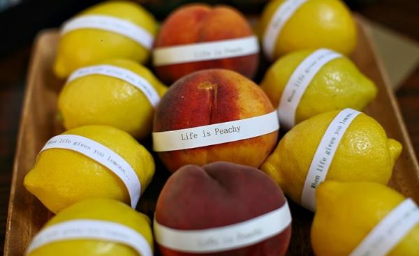 PearsonFarm's tweet image. Life is Peachy at Pearson Today! We liked this picture and wanted to share it with you all. bit.ly/oMudc3