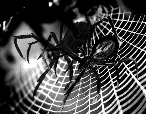 TTwistedVVision's tweet image. 