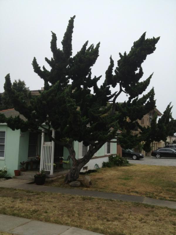 Nathaniel Davis tweet media