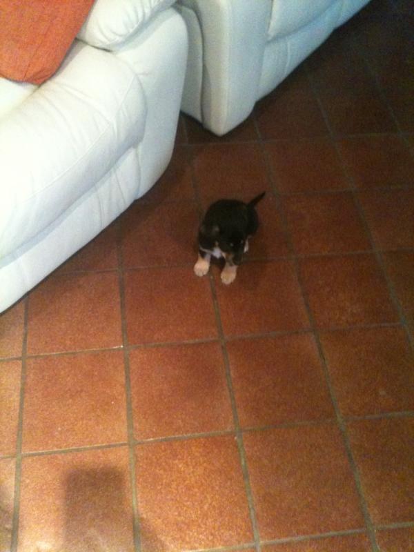 ACaravaggi's tweet photo. O http://t.co/OCT0Udwl