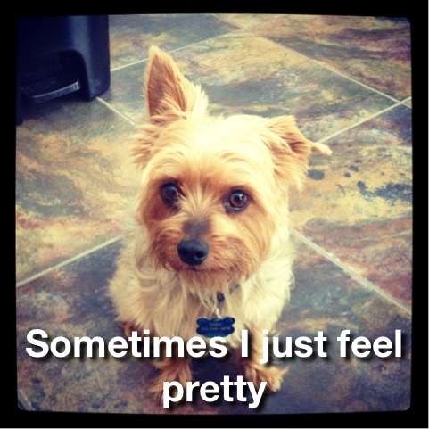 becca_eddy's tweet photo. #IdCapThat http://t.co/jcL9tIWz