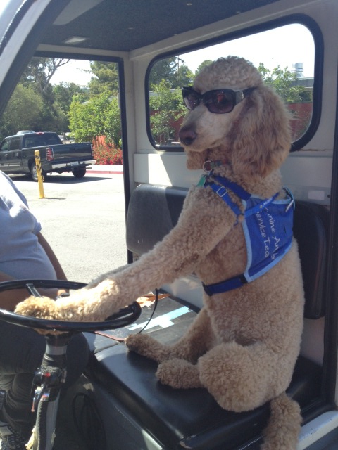 Woodside High School tweet media