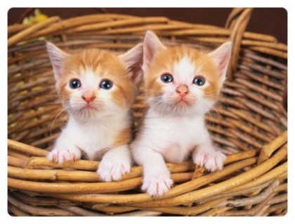 오늘 제주는 증말 듭네요;;
어휴....
이런 날 운동하믄 죽겄어여