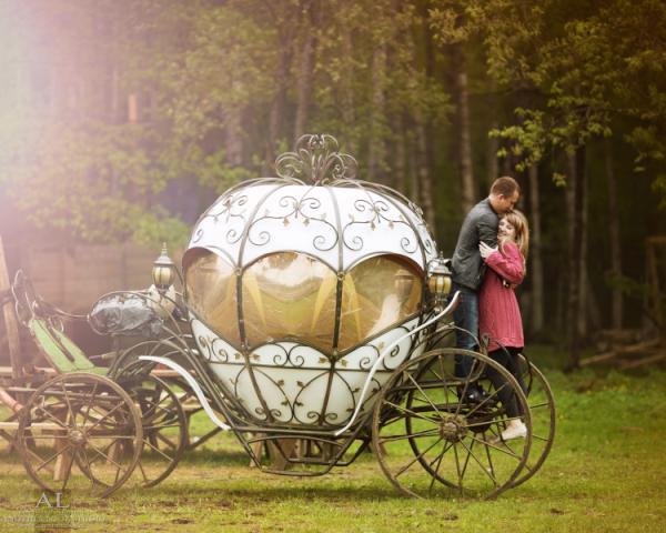 карета зима. "зеленая карета"- а. петлюра карета. суздаль кареты. суханов / "green carriage" alexander sukhanov.