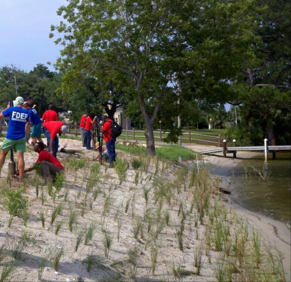 FLDEPNews's tweet photo. DEP staff, diplomats from 4 African countries and teen volunteers plant a living shoreline in Pensacola. http://t.co/gbnui7YZ