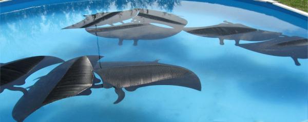 SolarFloats's tweet image. Solar Floats have been a huge success!  Thanks to all who have bought this affordable #solar #pool heating solution!