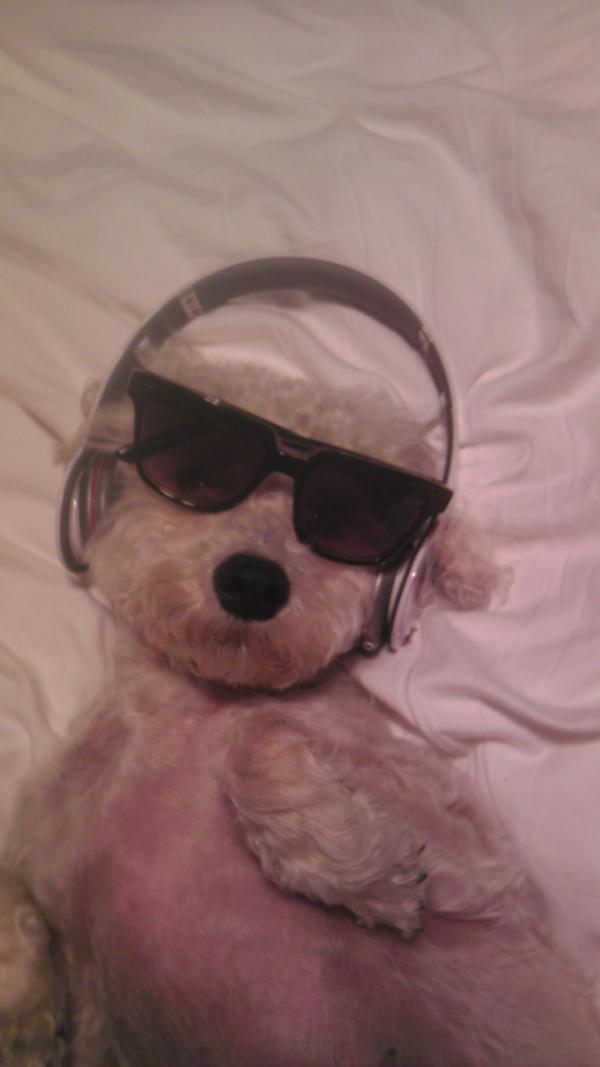 djph's tweet photo. @lochandubhcsc beats dawg... http://t.co/E8D0JHUK