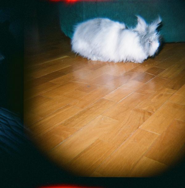 KateKosaya's tweet photo. got my first ever roll of diana f+ developed! #lomo http://t.co/1ErwHaIA