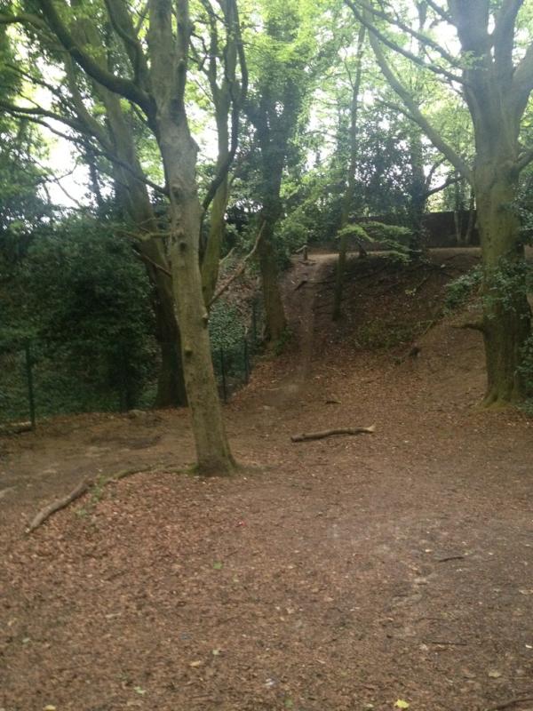 Pantsnip's tweet photo. Joanne Ball fell off her bike going down this. @mini_geek_mini chickened out. #devilsdrop http://t.co/31Y00qvB