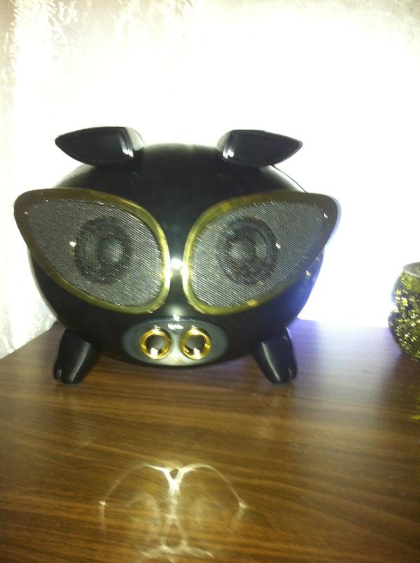 JonasDegerman's tweet image. Har köpt mig en kanon grejj!!! #ipig