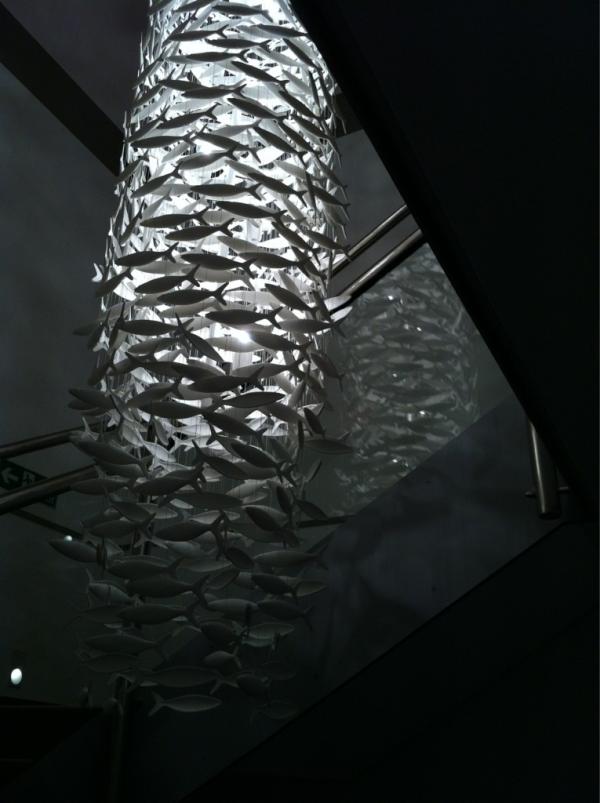 TheMaelogProj's tweet photo. RT @scabettistudio: 100th Shoal just completed at the Oyster Catcher, Anglesey; opening to public Tuesday. http://t.co/DbkU6W8G <- stunning!