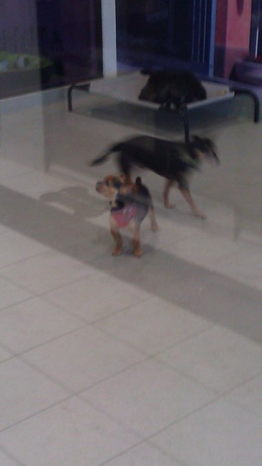 Watch Samantha Raye Tomchik's leaked NSFW photo on TwXstars