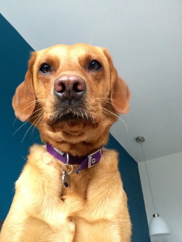 XLucyBarrowsX's tweet photo. The Guvnr http://t.co/igdwcNiI