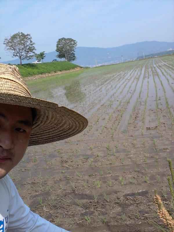 모내기도 끝!ㅋㅋ 오늘의 농사 임무 완료!
