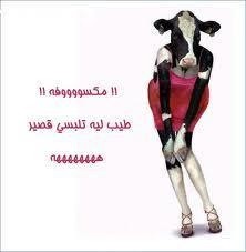 هيفاء شمري tweet media