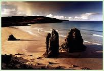 hebfresh's tweet image. Garry Beach
