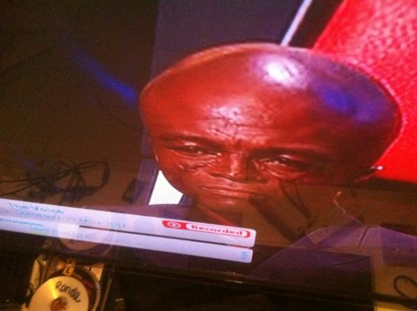 hoverdisc's tweet image. seal or dolphin