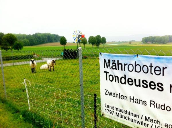 manfux's tweet photo. Mähroboter mit vier Beinen http://t.co/5Osnd8nA