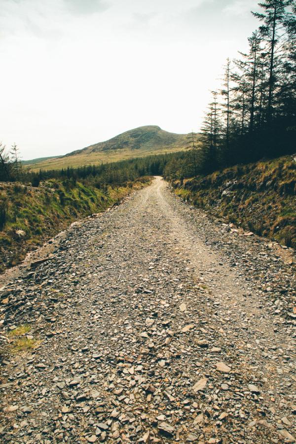 fotorutherford tweet picture