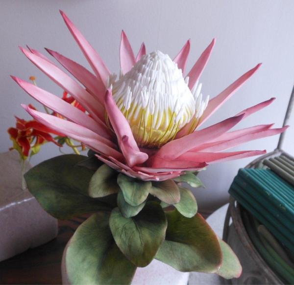 callihops's tweet photo. King Protea #I made this in sugar paste with leaves # http://t.co/ev7HsMbW
