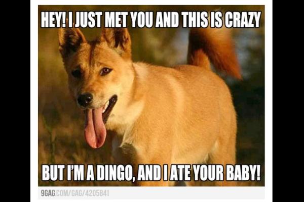 Me_Llamo_Milo's tweet photo. http://t.co/uyAiX0oj