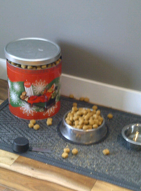 barcchar's tweet image. Here's what happens when I don't feed the dog myself #firstworldproblems #PANTLEG