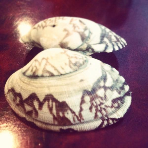 @jsheen_100 and I eating at an Asian resturaunt and find his clam has mountains on them :)