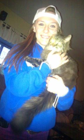 jkrickeberg's tweet image. Cute little kitty&amp;lt;3 too bad i hate cats. #alergic