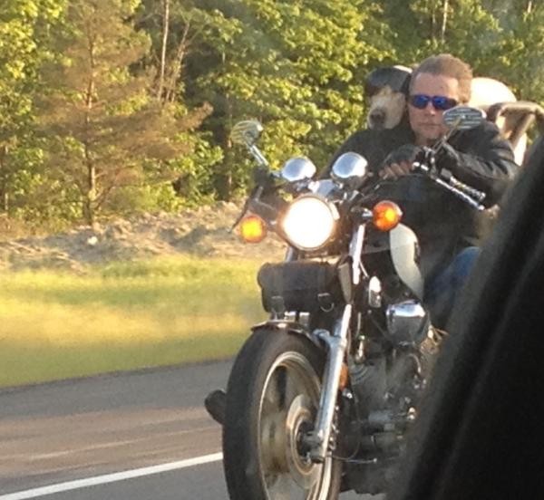 sam epstein tweet media